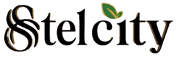 Stelcity logo